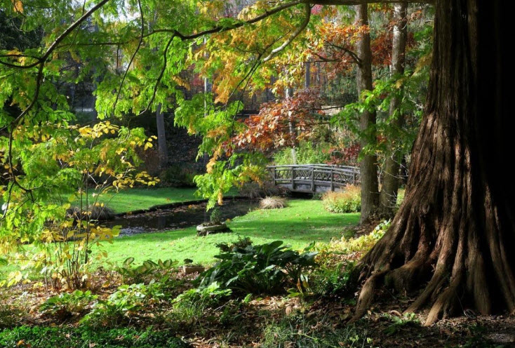 Leonard J Buck Garden, United States
